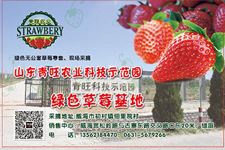 綠色草莓基地(dì)(dì)